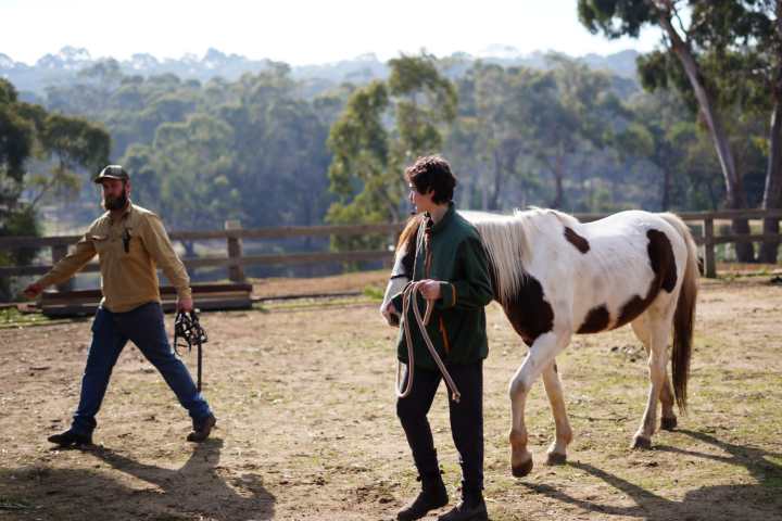 a group of people standing next to a horse