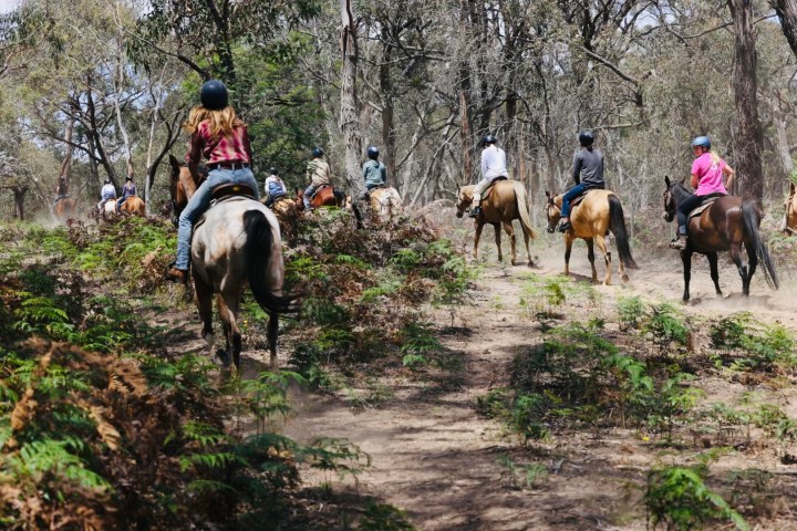 a man riding a horse on a dirt path